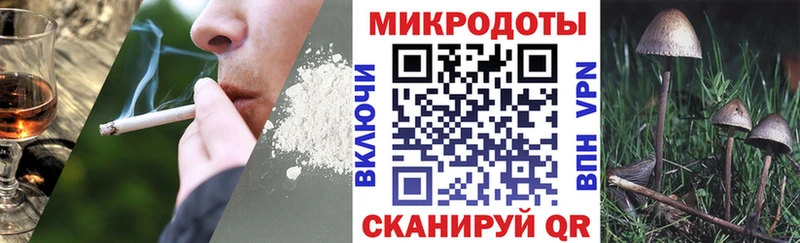 Купить где  Михайлов  Псилоцибиновые грибы Psilocybe 